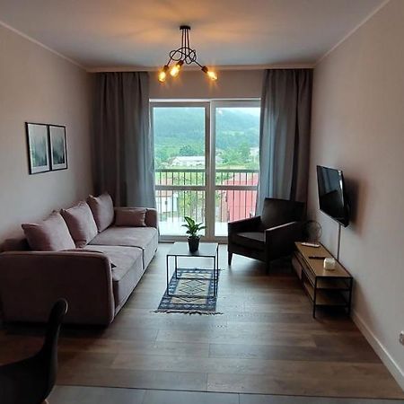 Apartamenty W Bieszczadach Ustrzyki Dolne Kültér fotó